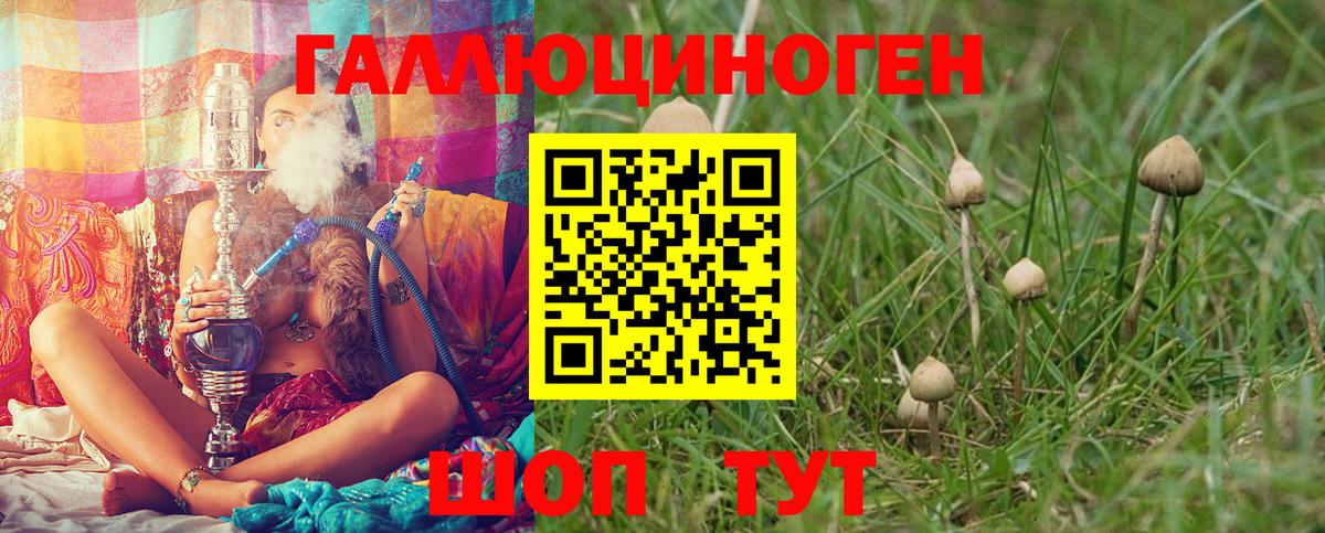 Галлюциногенные грибы мицелий Кизляр