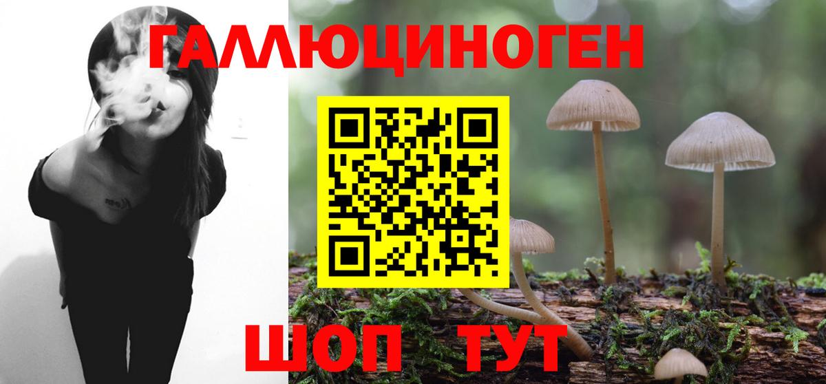 Галлюциногенные грибы мицелий  Вход с VPN  что такое наркотик  Кизляр  Псилоцибиновые грибы прущие грибы 